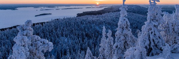 Las, Finlandia, Wzgórza, Park Narodowy Koli, Zachód słońca, Lieksa, Zima, Świerki, Jezioro Pielinen, Karelia Północna, Ośnieżone