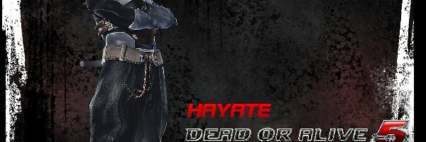Hayate, Dead Of Aive 5