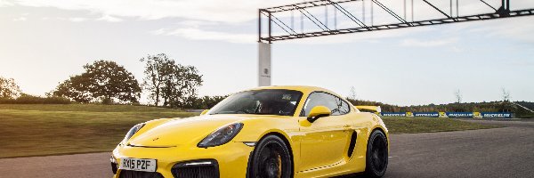 Porsche, Auto