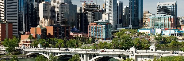 Most, Rzeka, Bow, Roślinność, Calgary, Panorama