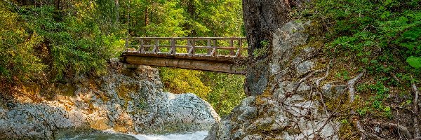 Mostek, Drewniany, Skały, Rzeka Ohanapecosh River, Las, Stany Zjednoczone, Stan Waszyngton, Drzewa, Park Narodowy Mount Rainier