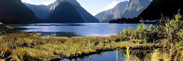 Jezioro, Roślinność, Góry, Nowa Zelandia, Milford