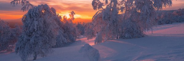 Wschód słońca, Śnieg, Zima