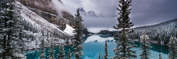 Zima, Góry, Jezioro, Mgła, Drzewa