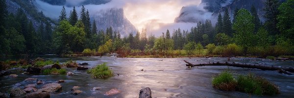 Lasy, Park Narodowy Yosemite, Góry, Wiosna, Stan Kalifornia, Stany Zjednoczone