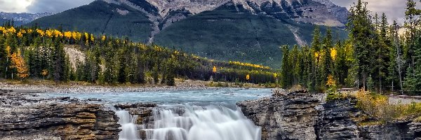 Skały, Góry, Drzewa, Park Narodowy Jasper, Kanada, Wodospad Athabasca Falls, Rzeka Athabasca