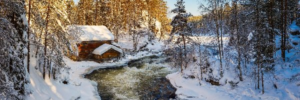 Park Narodowy Oulanka, Zima, Rzeka, Drzewa, Las, Finlandia, Laponia, Młyn Myllykoski, Gmina Kuusamo