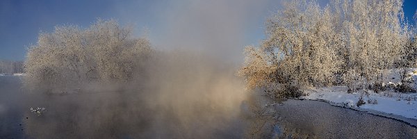 Jezioro, Drzewa, Mgła, Zima