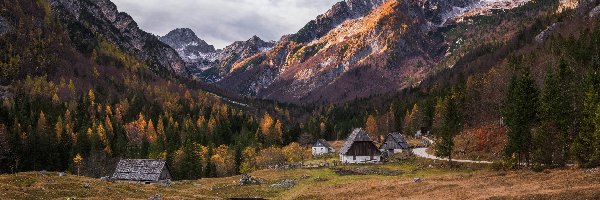 Słowenia, Góry Alpy Julijskie, Droga, Triglavski Park Narodowy, Dolina Zadnja Trenta, Domy, Drzewa