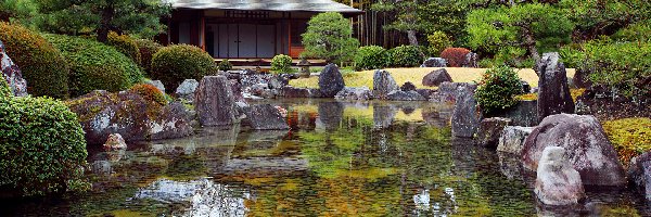 Japonia, Zamek Nijo, Krzewy, Drzewa, Kioto, Staw, Kamienie, Ogród japoński Seiryu-en garden
