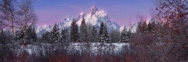 Wyoming, Drzewa, Park Narodowy Grand Teton, Stany Zjednoczone, Góry, Zima