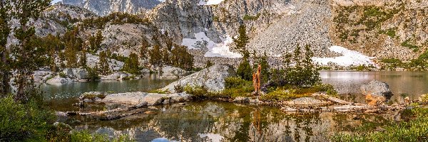 Drzewa, Rezerwat przyrody Wilderness John Muir, Góry Sierra Nevada, Kalifornia, Stany Zjednoczone, Kamienie, Jezioro