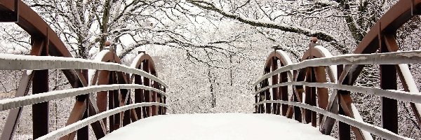 Zima, Drzewa, Most