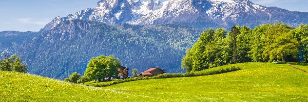 Dom, Bawaria, Niemcy, Góry Alpy, Park Narodowy Berchtesgaden, Drzewa, Las