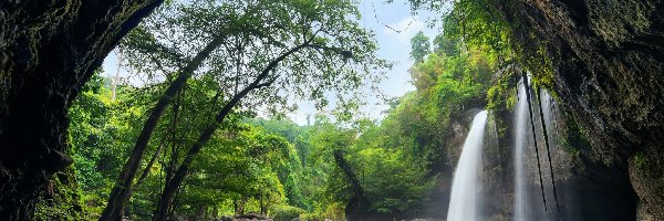 Drzewa, Park Narodowy Khau Yai, Wodospad Haew Suwat, Wyżyna Korat, Tajlandia, Kamienie, Jaskinia