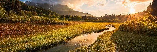 Rezerwat przyrody Zelenci Springs, Kranjska Gora, Drzewa, Łąka, Alpy Julijskie, Zschód słońca, Rzeka, Słowenia