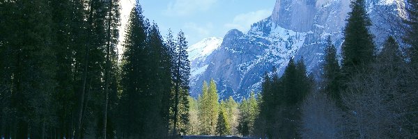 Rzeka, Stan Kalifornia, Zima, Góry, Park Narodowy Yosemite, Zalesione, Brzegi, Stany Zjednoczone