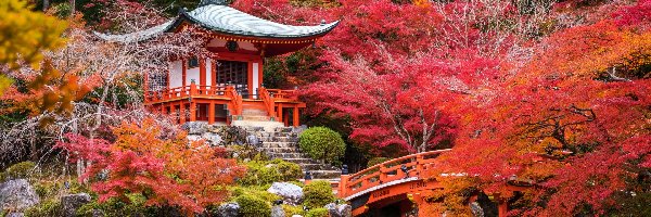 Świątynia Benten-dō, Kioto, Drzewa Kamienie, Jesień, Kompleks świątynny Daigo-ji, Mostek, Staw, Japonia