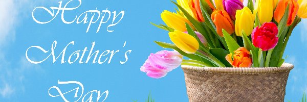 Dzień Matki, Tulipany, Trawa, Napis, Bukiet, Kosz