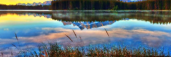 Trawa, Park Narodowy Banff, Góry, Prowincja Alberta, Kanada, Las, Jezioro