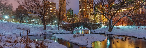 Zima, Park, Nowy Jork