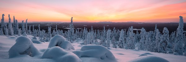 Laponia, Drzewa, Góry, Finlandia, Śnieg, Zima