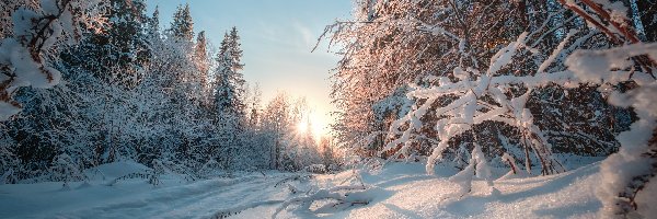 Zima, Kraj Permski, Promienie słońca, Droga, Ural, Las, Drzewa, Rosja