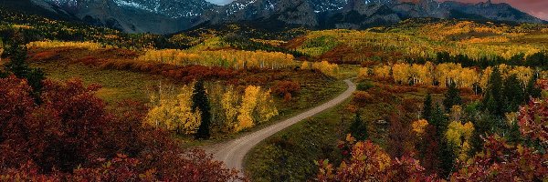 Jesień, Las, Góry, Droga, Kręta