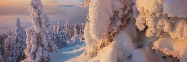 Zaspy, Południowy Ural, Zima, Góry Ural, Rosja, Drzewa, Ośnieżone