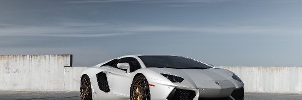 Biały, Lamborghini Aventador