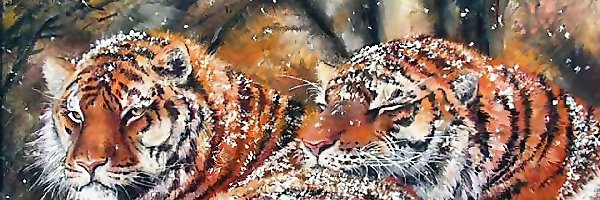 Zimą, Tygrysy