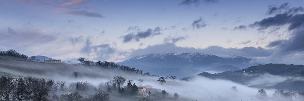 Mgła, Drzewa, Góry Sibillini, Włochy
