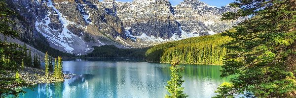 Dolina Valley of the Ten Peaks, Prowincja Alberta, Drzewa, Góry, Park Narodowy Banff, Dolina Dziesięciu Szczytów, Jezioro Moraine Lake, Kanada