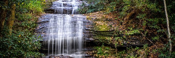 Las, Wodospad Upper DeSoto Falls, Rzeka Frogtown Creek, Drzewa Drzewo, Stan Georgia, Stany Zjednoczone
