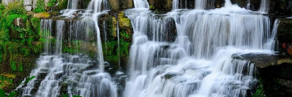 Chittenango Falls State Park, Kamienie, Rośliny, Nowy Jork, Skały, Wodospad