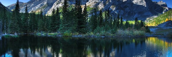 Prowncja Alberta, Drzewa, Lasy, Kanada, Góra Kidd RV Park, Jezioro