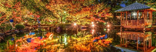 Staw, Otaguro Park, Światła, Altanka, Tokio, Japonia