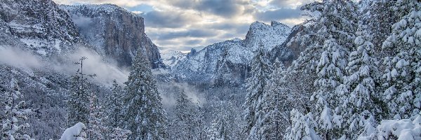 Stany Zjednoczone, Góry Sierra Nevada, Drzewa, Zima, Park Narodowy Yosemite, Stan Kalifornia, Chmury