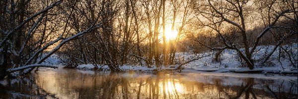 Zima, Drzewa, Rzeka, Odbicie, Słońce