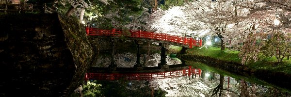 Japonia, Most, Kwitnące, Rzeka, Park, Wiosna, Drzewa