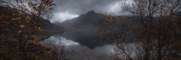 Drzewa, Jesień, Chmury, Lofoty, Norwegia, Skały, Góry