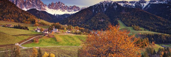 Jesień, Dolina Val di Funes, Kościół, Drzewa, Góry, Dolomity, Lasy, Włochy, Wieś Santa Maddalena, Domy