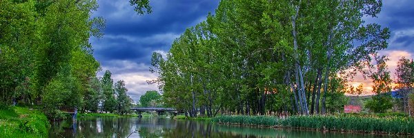 Bułgaria, Drzewa, Rzeka Struma, Most, Trawa