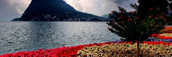 Kwiaty, Jezioro, Góra