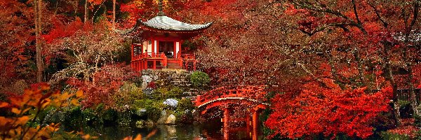 Daigo-ji , Japonia, Kioto, Jesień, Świątynia