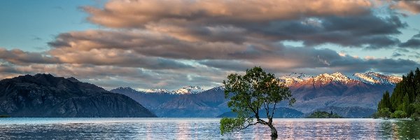 Nowa Zelandia, Góry, Jezioro Wanaka, Chmury, Drzewo
