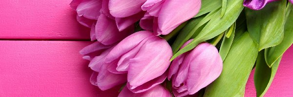 Wiązanka, Tulipany, Różowe