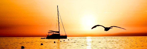 Jacht, Ptak, Zachód Słońca, Morze