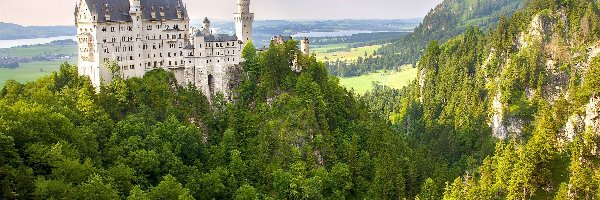 Lasy, Zamek Neuschwanstein, Skały, Drzewa, Bawaria, Niemcy