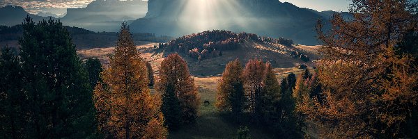 Jesień, Drzewa, Wzgórza, Promienie słońca, Góry